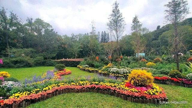 士林官邸2021「菊來運轉」花展 (Shilin Residence Chrysanthesmum Festival), Nov 26 ~ Dec 12, 2021, Taipei, Taiwan, SJKen, Dec 4, 2021.