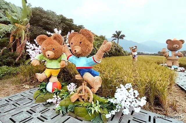2021「熊愛關渡」稻草裝置藝術展(Bear art exhibition at Kuandu , Taipei, Taiwan, SJKen, Dec 1, 2021.