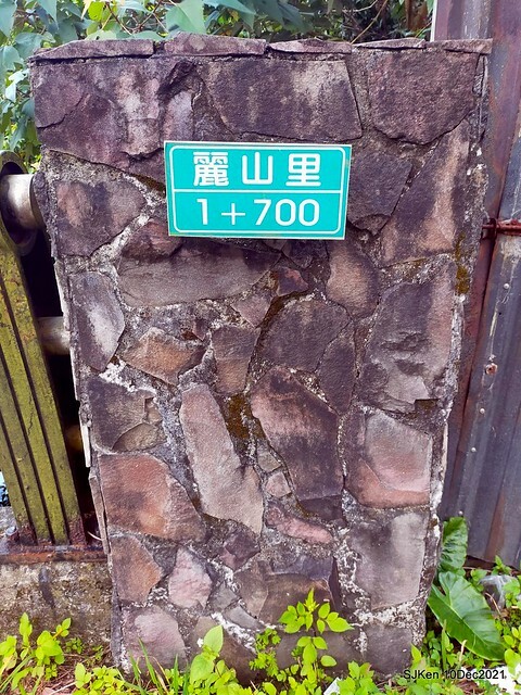 Larix pine garden plaza at Nangang, Taipei, Taiwan, SJKen, Dec 10, 2021.