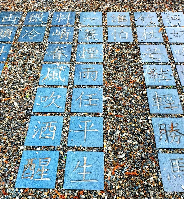 Larix pine garden plaza at Nangang, Taipei, Taiwan, SJKen, Dec 10, 2021.