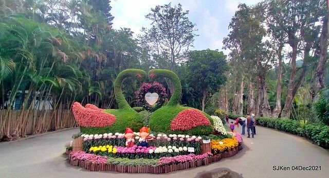 士林官邸2021「菊來運轉」花展 (Shilin Residence Chrysanthesmum Festival), Nov 26 ~ Dec 12, 2021, Taipei, Taiwan, SJKen, Dec 4, 2021.