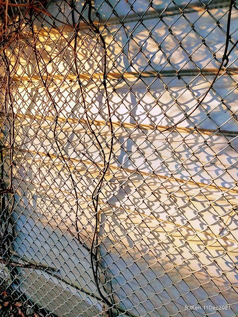 Larix pine trail nearby Fuxinggang metro station, Taipei, Taiwan, SJKen, Dec 11, 2021.