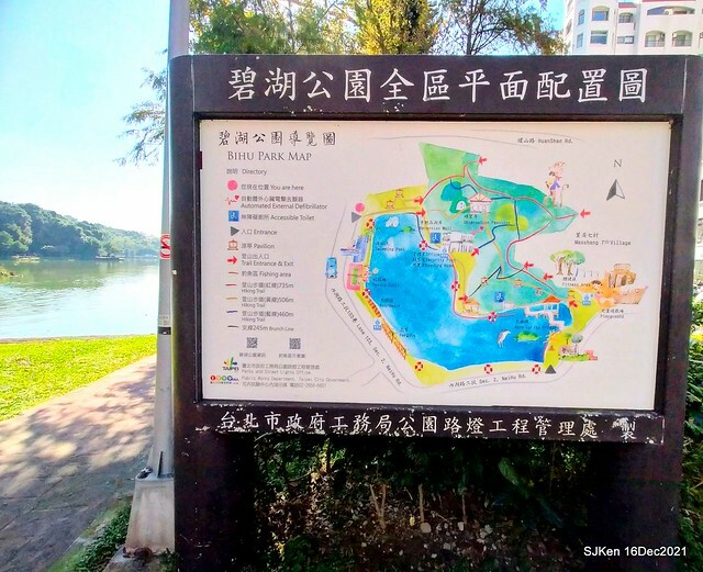 Larix pine at Bi-Hu garden, Taipei, Taiwan, SJKen, Dec 16,2021.