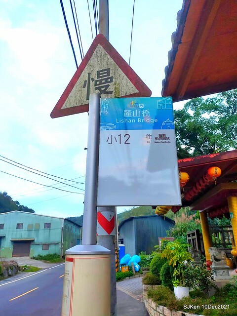 Larix pine garden plaza at Nangang, Taipei, Taiwan, SJKen, Dec 10, 2021.