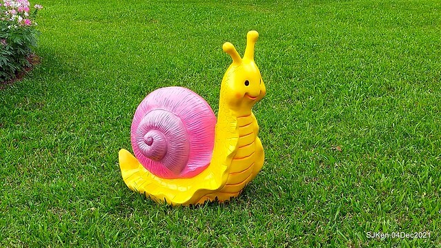 士林官邸2021「菊來運轉」花展 (Shilin Residence Chrysanthesmum Festival), Nov 26 ~ Dec 12, 2021, Taipei, Taiwan, SJKen, Dec 4, 2021.