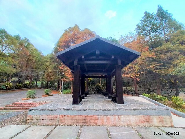 Larix pine garden plaza at Nangang, Taipei, Taiwan, SJKen, Dec 10, 2021.
