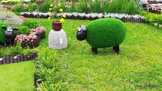 士林官邸2021「菊來運轉」花展 (Shilin Residence Chrysanthesmum Festival), Nov 26 ~ Dec 12, 2021, Taipei, Taiwan, SJKen, Dec 4, 2021.