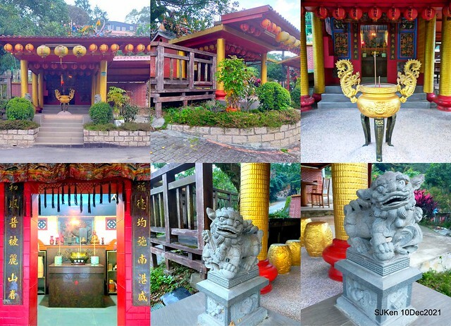 Larix pine garden plaza at Nangang, Taipei, Taiwan, SJKen, Dec 10, 2021.