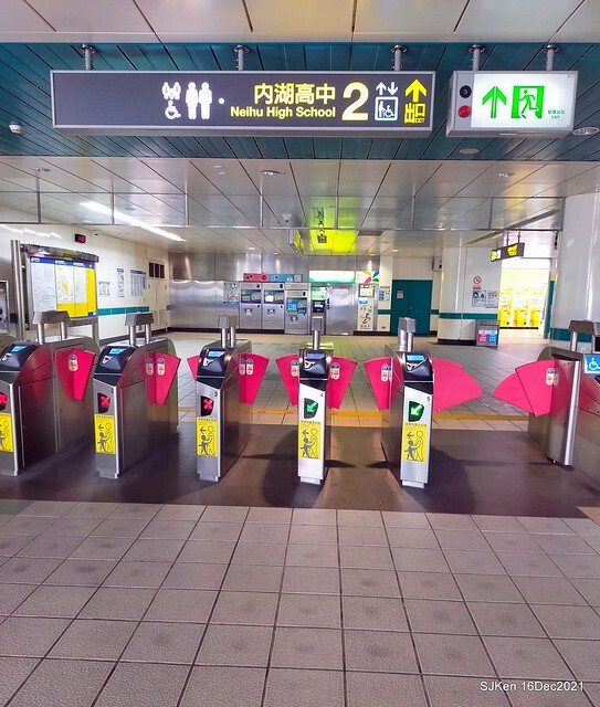 Larix pine at Bi-Hu garden, Taipei, Taiwan, SJKen, Dec 16,2021.