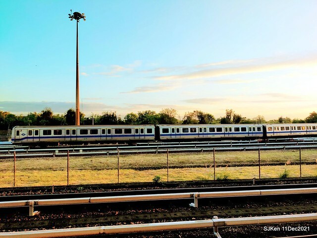 Larix pine trail nearby Fuxinggang metro station, Taipei, Taiwan, SJKen, Dec 11, 2021.