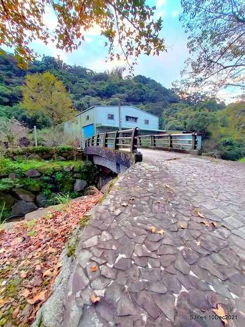Larix pine garden plaza at Nangang, Taipei, Taiwan, SJKen, Dec 10, 2021.
