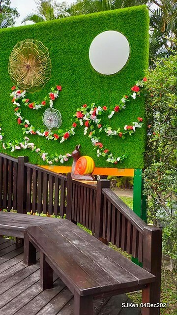 士林官邸2021「菊來運轉」花展 (Shilin Residence Chrysanthesmum Festival), Nov 26 ~ Dec 12, 2021, Taipei, Taiwan, SJKen, Dec 4, 2021.