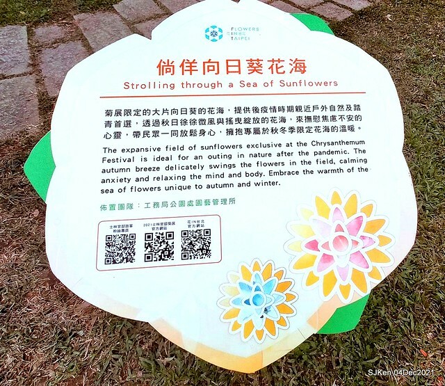 士林官邸2021「菊來運轉」花展 (Shilin Residence Chrysanthesmum Festival), Nov 26 ~ Dec 12, 2021, Taipei, Taiwan, SJKen, Dec 4, 2021.