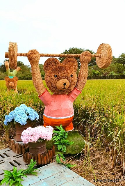 2021「熊愛關渡」稻草裝置藝術展(Bear art exhibition at Kuandu , Taipei, Taiwan, SJKen, Dec 1, 2021.