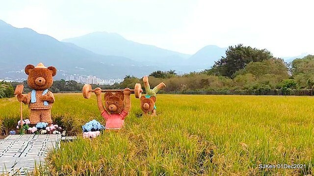 2021「熊愛關渡」稻草裝置藝術展(Bear art exhibition at Kuandu , Taipei, Taiwan, SJKen, Dec 1, 2021.