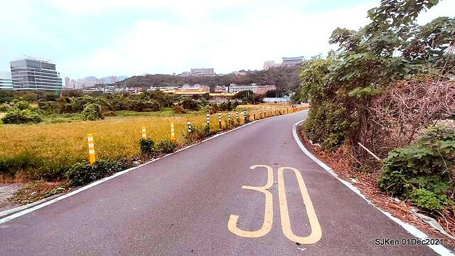 2021「熊愛關渡」稻草裝置藝術展(Bear art exhibition at Kuandu , Taipei, Taiwan, SJKen, Dec 1, 2021.