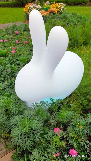 士林官邸2021「菊來運轉」花展 (Shilin Residence Chrysanthesmum Festival), Nov 26 ~ Dec 12, 2021, Taipei, Taiwan, SJKen, Dec 4, 2021.