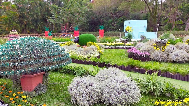 士林官邸2021「菊來運轉」花展 (Shilin Residence Chrysanthesmum Festival), Nov 26 ~ Dec 12, 2021, Taipei, Taiwan, SJKen, Dec 4, 2021.