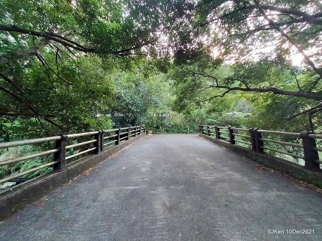 Larix pine garden plaza at Nangang, Taipei, Taiwan, SJKen, Dec 10, 2021.