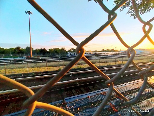 Larix pine trail nearby Fuxinggang metro station, Taipei, Taiwan, SJKen, Dec 11, 2021.