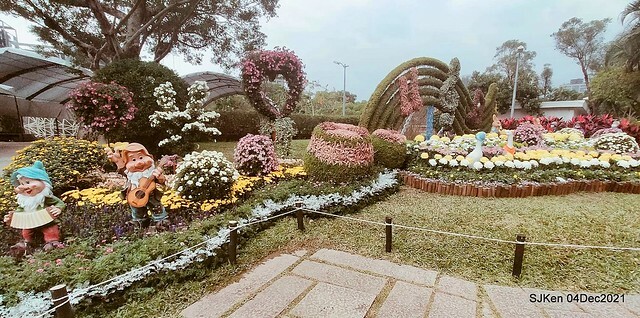 士林官邸2021「菊來運轉」花展 (Shilin Residence Chrysanthesmum Festival), Nov 26 ~ Dec 12, 2021, Taipei, Taiwan, SJKen, Dec 4, 2021.