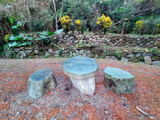 Larix pine garden plaza at Nangang, Taipei, Taiwan, SJKen, Dec 10, 2021.