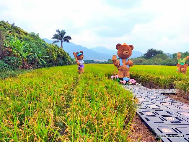 2021「熊愛關渡」稻草裝置藝術展(Bear art exhibition at Kuandu , Taipei, Taiwan, SJKen, Dec 1, 2021.