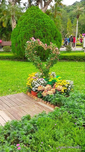 士林官邸2021「菊來運轉」花展 (Shilin Residence Chrysanthesmum Festival), Nov 26 ~ Dec 12, 2021, Taipei, Taiwan, SJKen, Dec 4, 2021.