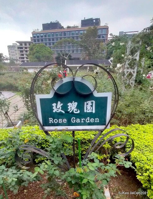 士林官邸2021「菊來運轉」花展 (Shilin Residence Chrysanthesmum Festival), Nov 26 ~ Dec 12, 2021, Taipei, Taiwan, SJKen, Dec 4, 2021.