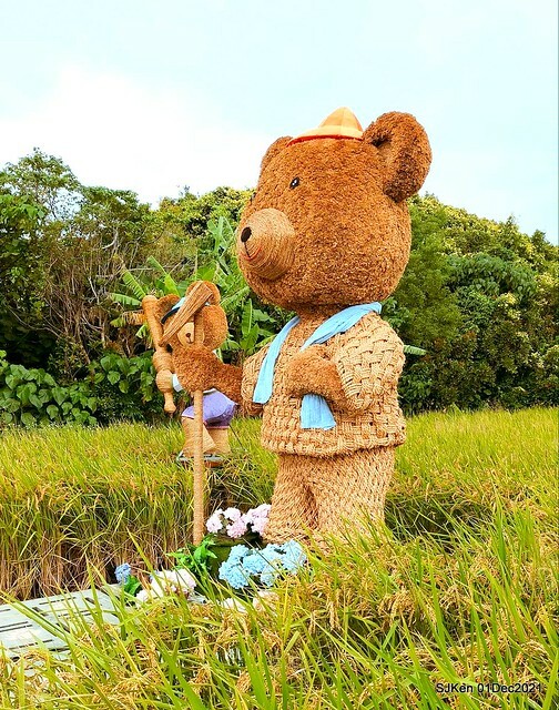 2021「熊愛關渡」稻草裝置藝術展(Bear art exhibition at Kuandu , Taipei, Taiwan, SJKen, Dec 1, 2021.
