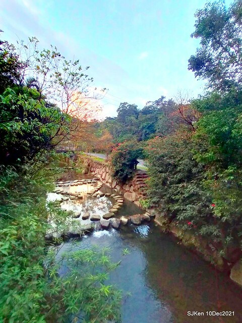 Larix pine garden plaza at Nangang, Taipei, Taiwan, SJKen, Dec 10, 2021.