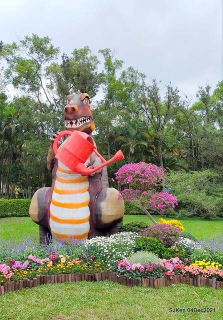 士林官邸2021「菊來運轉」花展 (Shilin Residence Chrysanthesmum Festival), Nov 26 ~ Dec 12, 2021, Taipei, Taiwan, SJKen, Dec 4, 2021.