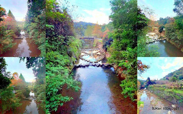 Larix pine garden plaza at Nangang, Taipei, Taiwan, SJKen, Dec 10, 2021.