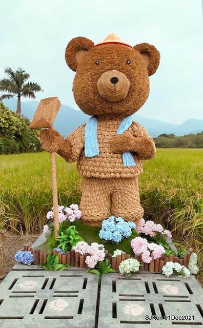 2021「熊愛關渡」稻草裝置藝術展(Bear art exhibition at Kuandu , Taipei, Taiwan, SJKen, Dec 1, 2021.