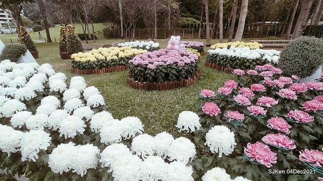 士林官邸2021「菊來運轉」花展 (Shilin Residence Chrysanthesmum Festival), Nov 26 ~ Dec 12, 2021, Taipei, Taiwan, SJKen, Dec 4, 2021.