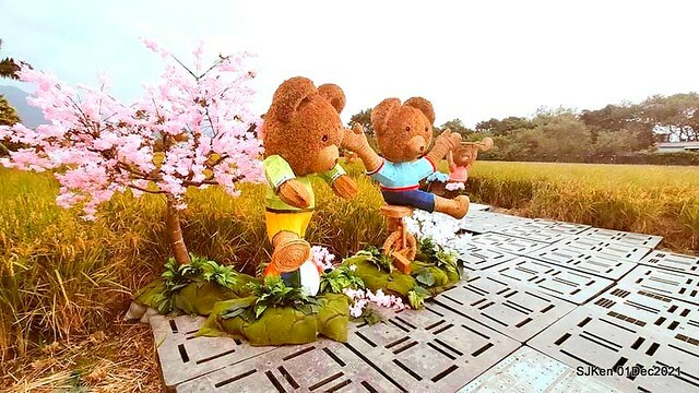 2021「熊愛關渡」稻草裝置藝術展(Bear art exhibition at Kuandu , Taipei, Taiwan, SJKen, Dec 1, 2021.