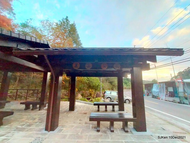 Larix pine garden plaza at Nangang, Taipei, Taiwan, SJKen, Dec 10, 2021.