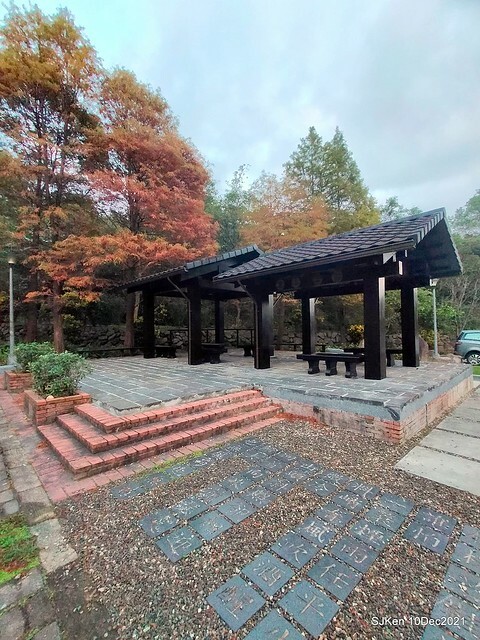 Larix pine garden plaza at Nangang, Taipei, Taiwan, SJKen, Dec 10, 2021.