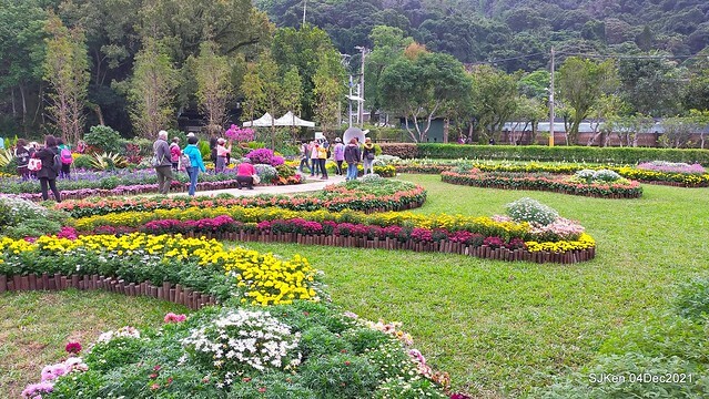 士林官邸2021「菊來運轉」花展 (Shilin Residence Chrysanthesmum Festival), Nov 26 ~ Dec 12, 2021, Taipei, Taiwan, SJKen, Dec 4, 2021.