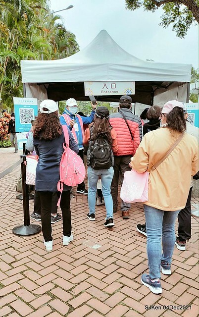 士林官邸2021「菊來運轉」花展 (Shilin Residence Chrysanthesmum Festival), Nov 26 ~ Dec 12, 2021, Taipei, Taiwan, SJKen, Dec 4, 2021.