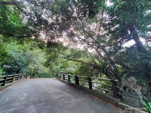 Larix pine garden plaza at Nangang, Taipei, Taiwan, SJKen, Dec 10, 2021.