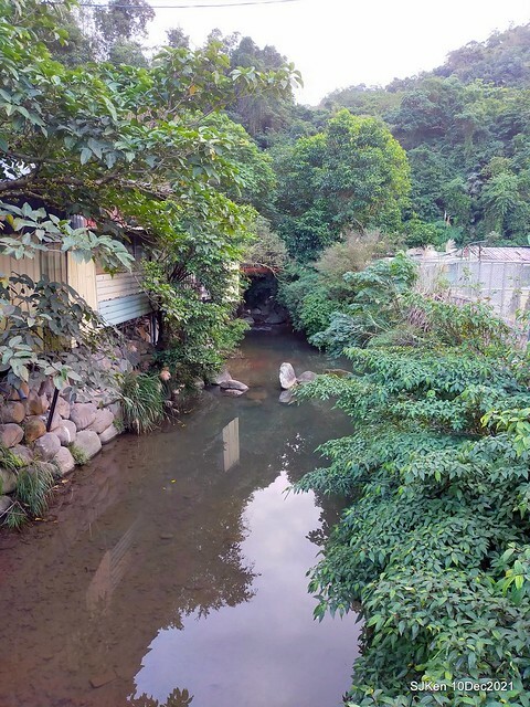 Larix pine garden plaza at Nangang, Taipei, Taiwan, SJKen, Dec 10, 2021.