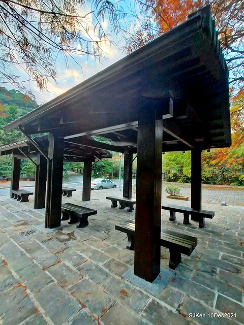 Larix pine garden plaza at Nangang, Taipei, Taiwan, SJKen, Dec 10, 2021.