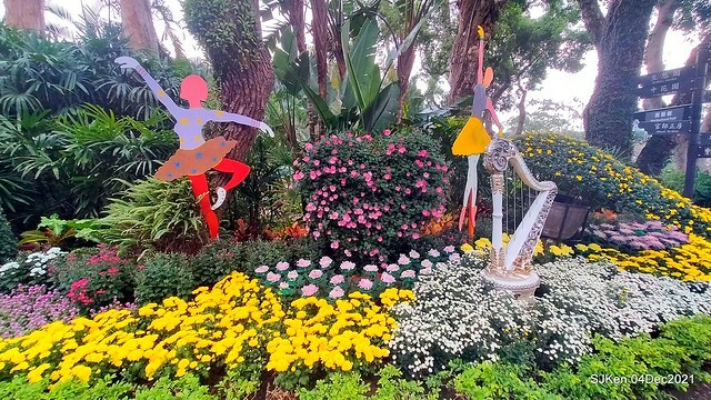 士林官邸2021「菊來運轉」花展 (Shilin Residence Chrysanthesmum Festival), Nov 26 ~ Dec 12, 2021, Taipei, Taiwan, SJKen, Dec 4, 2021.