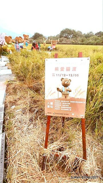 2021「熊愛關渡」稻草裝置藝術展(Bear art exhibition at Kuandu , Taipei, Taiwan, SJKen, Dec 1, 2021.