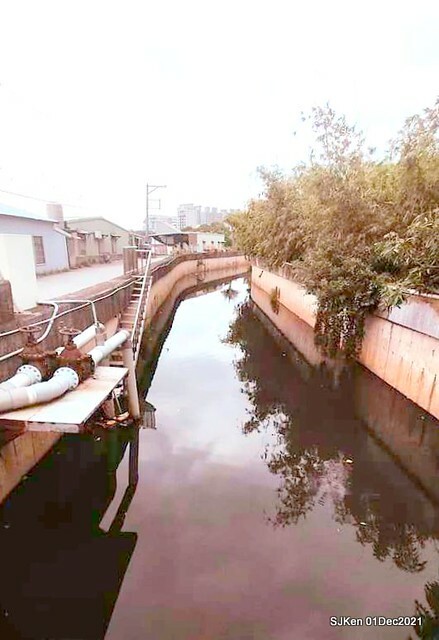 2021「熊愛關渡」稻草裝置藝術展(Bear art exhibition at Kuandu , Taipei, Taiwan, SJKen, Dec 1, 2021.