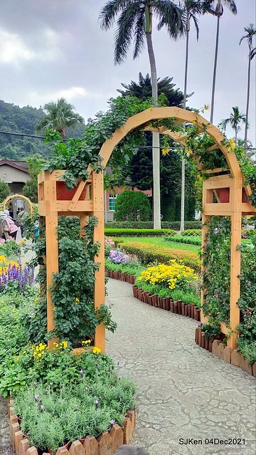 士林官邸2021「菊來運轉」花展 (Shilin Residence Chrysanthesmum Festival), Nov 26 ~ Dec 12, 2021, Taipei, Taiwan, SJKen, Dec 4, 2021.