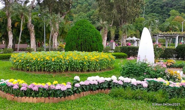 士林官邸2021「菊來運轉」花展 (Shilin Residence Chrysanthesmum Festival), Nov 26 ~ Dec 12, 2021, Taipei, Taiwan, SJKen, Dec 4, 2021.