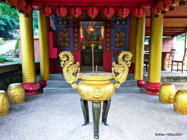 Larix pine garden plaza at Nangang, Taipei, Taiwan, SJKen, Dec 10, 2021.