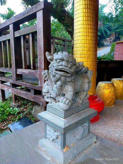 Larix pine garden plaza at Nangang, Taipei, Taiwan, SJKen, Dec 10, 2021.